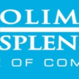 Olimpia Splendid Panel Heaters – Italian Engineering for the NZ Home