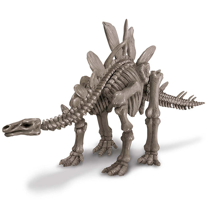 4M Dig A Stegosaurus Skeleton