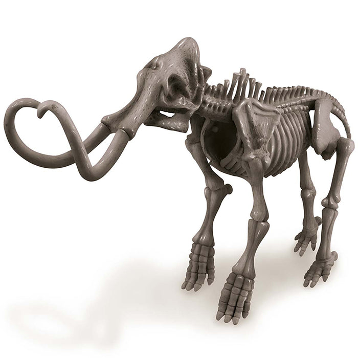 4M Dig A Mammoth Skeleton