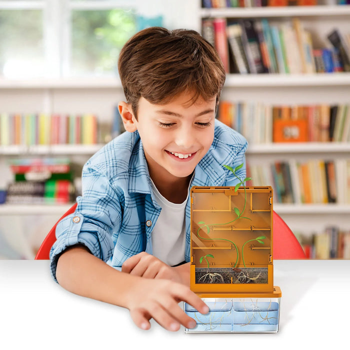 Grow-A-Maze - LX2001 - Homewares, Outdoor, Phone Accessories, Cases, Speakers, Headphones + More -