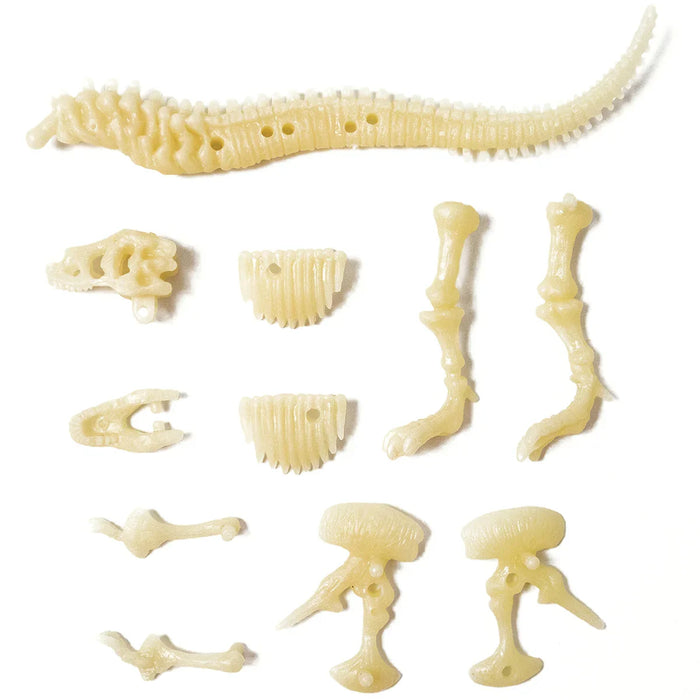 Sci:Bits Glow Trex in Tube - LX2001 - Homewares, Outdoor, Phone Accessories, Cases, Speakers, Headphones + More -