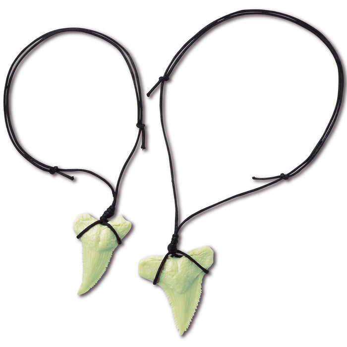 4M Dig a Glow Shark Tooth