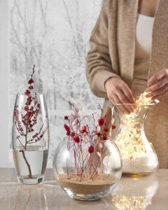 Pasabahce Glass Botanic Vase 26Cm - LX2001 - Homewares, Outdoor, Phone Accessories, Cases, Speakers, Headphones + More -