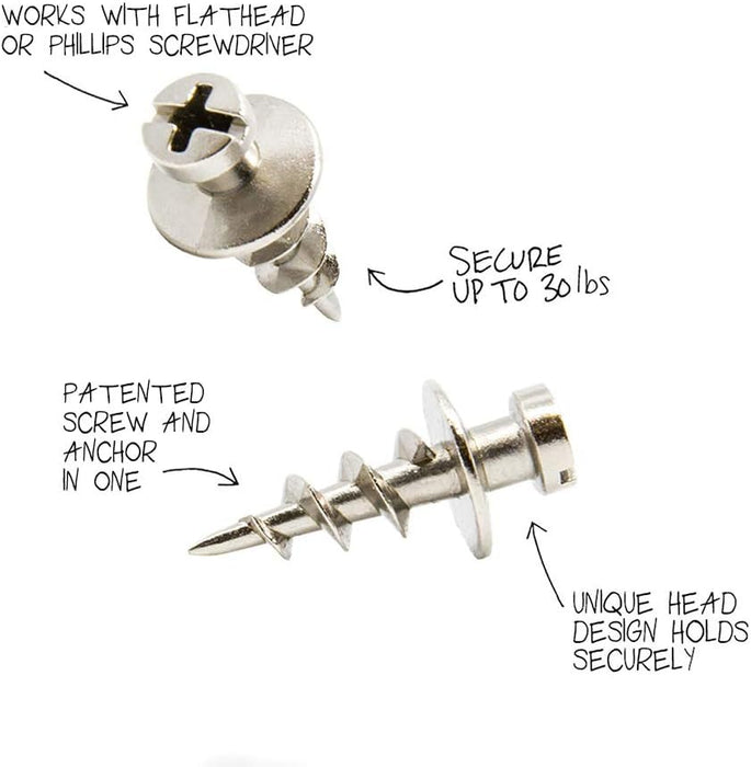 DecoScrews Under the Roof Decorating 100154 Picture Screws, Nickel, 14