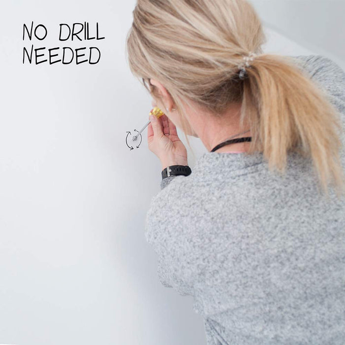 DecoScrews Under the Roof Decorating 3-100141 Deco Screw Nickel Sampler Pack