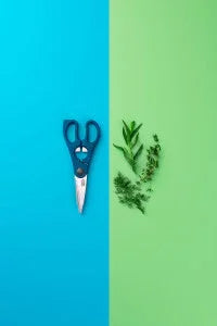 Tasty Scissors - LX2001 - Homewares, Outdoor, Phone Accessories, Cases, Speakers, Headphones + More -