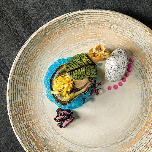 Bonna Patera Plate Coupe 270 mm - LX2001 - Homewares, Outdoor, Phone Accessories, Cases, Speakers, Headphones + More -