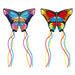 KITE'S READY 2 FLY - POP UP BUTTERFLY (2 ASST COLOR) - PATENTED POPUP SYSTEM-BLU - LX2001 - Homewares, Outdoor, Phone Accessories, Cases, Speakers, Headphones + More -