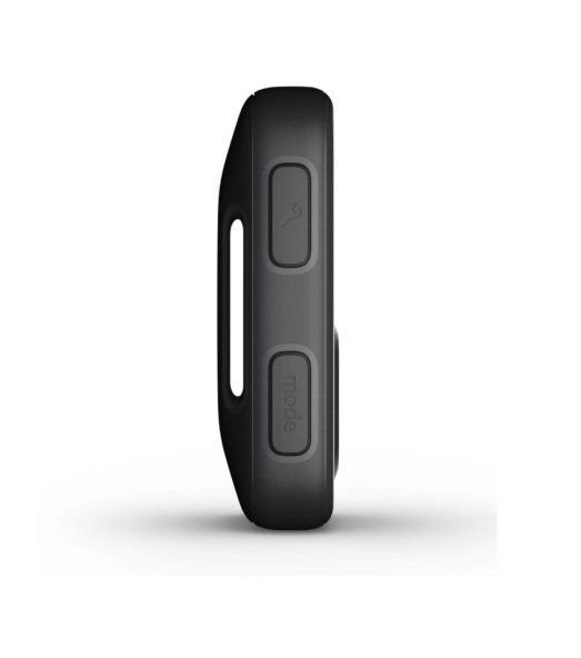 GoPro The Remote
