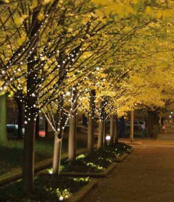 Goldair Solar LED 4 Branch Garden Light Multi Colour - 2M / 2 Meter Length GCLS200M