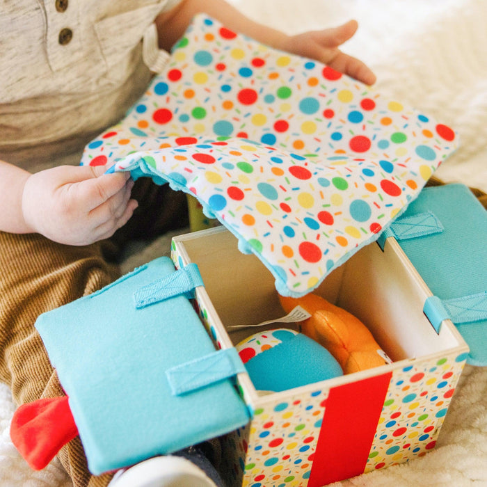 Surprise Gift Box - LX2001 - Homewares, Outdoor, Phone Accessories, Cases, Speakers, Headphones + More -