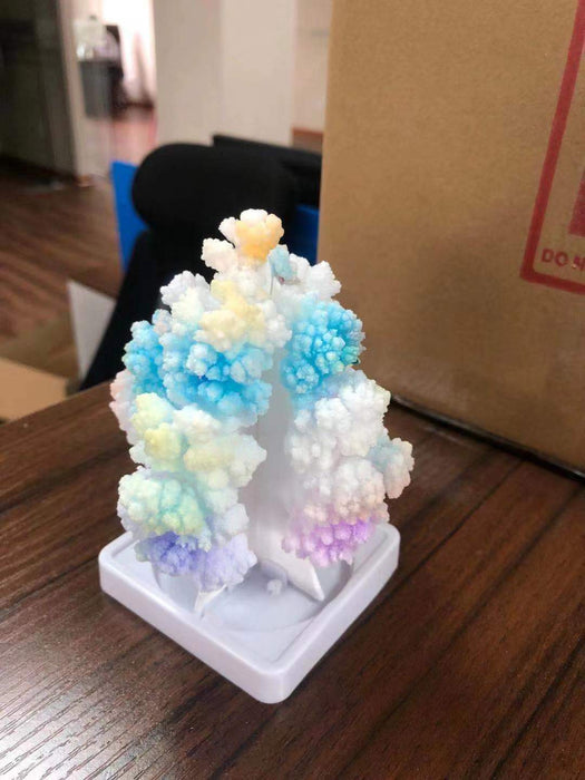 National Geographic Crystal Garden - LX2001 - Homewares, Outdoor, Phone Accessories, Cases, Speakers, Headphones + More -