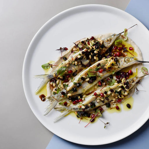 Royal Porcelain White Album Round Flared Coupe Plate 24cm - LX2001 - Homewares, Outdoor, Phone Accessories, Cases, Speakers, Headphones + More -