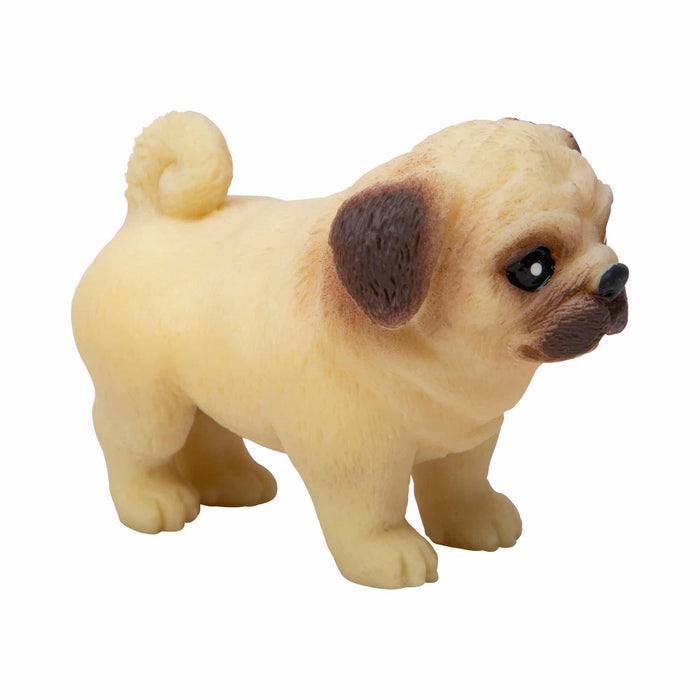 Pocket Pup Puppy