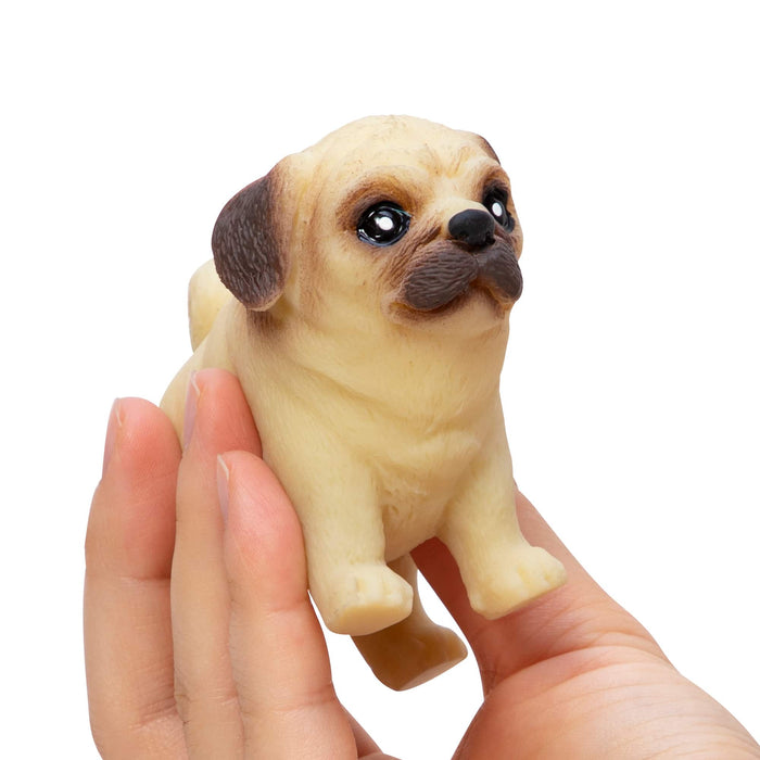 Pocket Pup Puppy