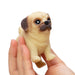 Pocket Pup Puppy - LX2001 - Homewares, Outdoor, Phone Accessories, Cases, Speakers, Headphones + More -