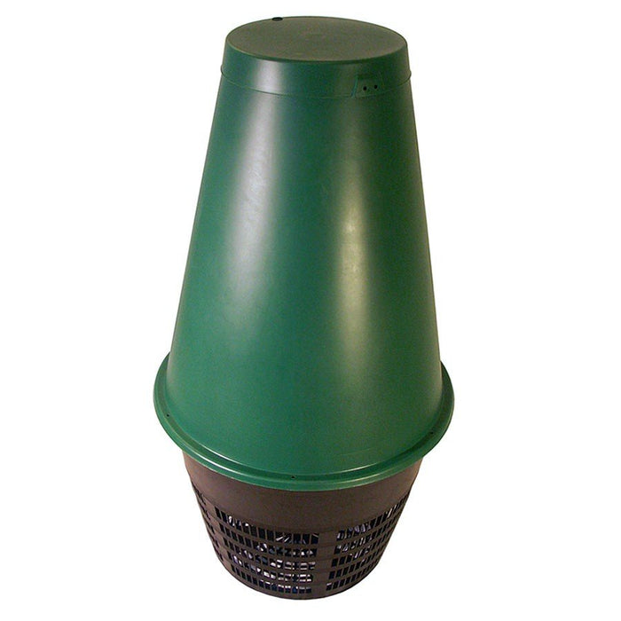 Maze Green Cone
