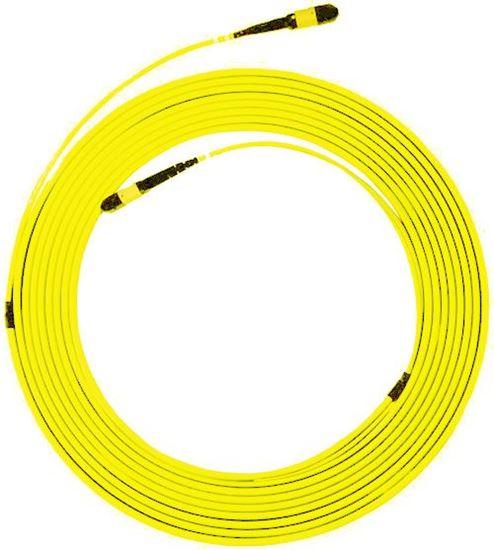DYNAMIX 5M MPO APC ELITE Trunk Single-mode Fibre Cable. POLARITY C Crossed - LX2001 - Homewares, Outdoor, Phone Accessories, Cases, Speakers, Headphones + More -