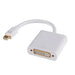 DYNAMIX 0.2m Mini DisplayPort DVI D Cable Convertor 1080p@60Hz (1920x1080) - LX2001 - Homewares, Outdoor, Phone Accessories, Cases, Speakers, Headphones + More -