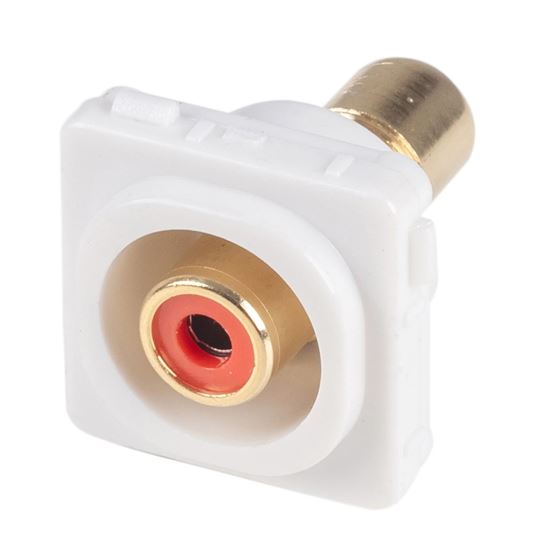 AMDEX Red RCA to RCA Jack. Gold Plated