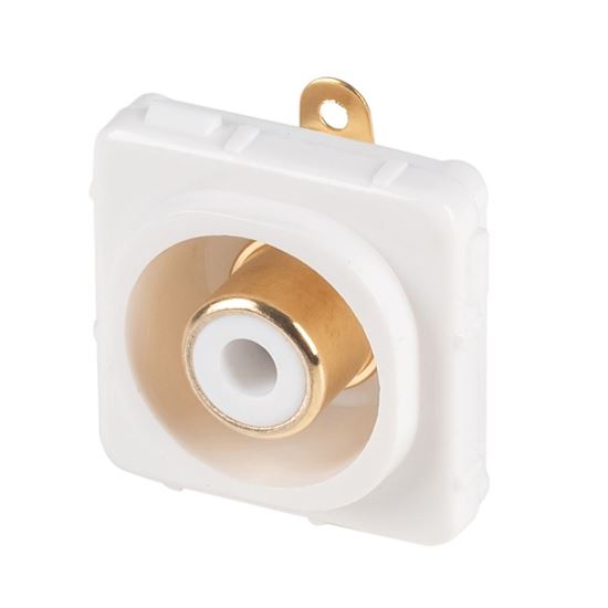 AMDEX White RCA to Solder Connector . Gold Plated