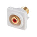 AMDEX Red RCA to F Connector. Gold Plated - LX2001 - Homewares, Outdoor, Phone Accessories, Cases, Speakers, Headphones + More -