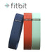 Fitbit Flex Wristband Accessory Pack - LX2001 - Homewares, Outdoor, Phone Accessories, Cases, Speakers, Headphones + More -