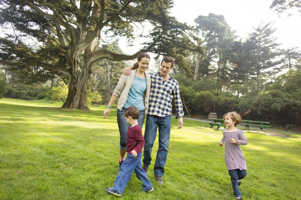 Fitbit Flex Wristband Accessory Pack - LX2001 - Homewares, Outdoor, Phone Accessories, Cases, Speakers, Headphones + More -