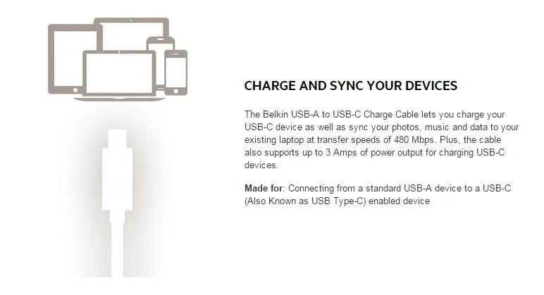 Belkin 2.0 USB-C to USB-A Adapter Cable F2CU036BTBLK - LX2001 - Homewares, Outdoor, Phone Accessories, Cases, Speakers, Headphones + More -