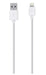 Belkin Lightning Charge Sync Cable F8J023BT04-WHT