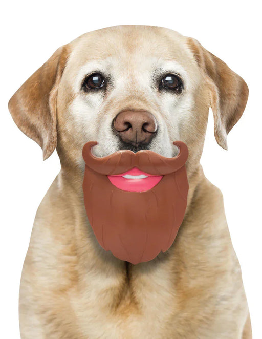Dog Beard Toy - LX2001 - Homewares, Outdoor, Phone Accessories, Cases, Speakers, Headphones + More -