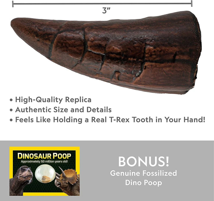 NG Dino Dig Kit - LX2001 - Homewares, Outdoor, Phone Accessories, Cases, Speakers, Headphones + More -