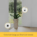 Nuki Combo (Smart Lock 2.0 + Bridge) Bluetooth Door Lock 220472 9120072081088 - LX2001 - Homewares, Outdoor, Phone Accessories, Cases, Speakers, Headphones + More -