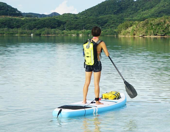 OverBoard Pro-Vis Waterproof Backpack 30 Litre - Hi-Vis Yellow OB1147HVY