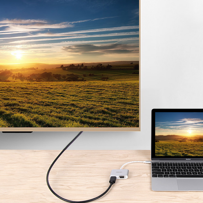 UNITEK USB 3.1 Type-C To HDMI & VGA Converter - Silver Y-V100