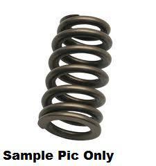 INLET VALVE SPRING PSYCHIC HEAVY DUTY RMZ450 08-17 RMX450 10-17 - LX2001 - Homewares, Outdoor, Phone Accessories, Cases, Speakers, Headphones + More -